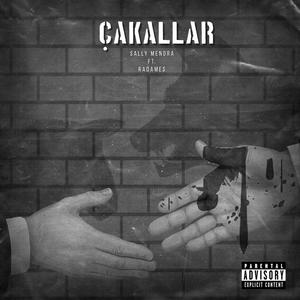 Çakallar