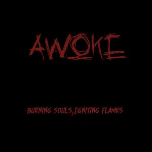 Awoke at last Guitar track test (very bad.)