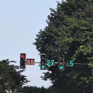 杀死那个石家庄人(Acousitc)