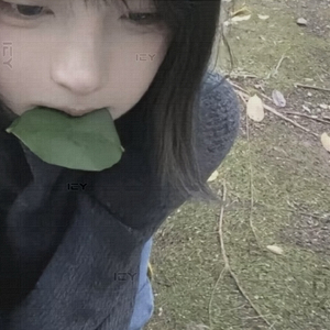 剑风意指-雨季不再来（icy remix）