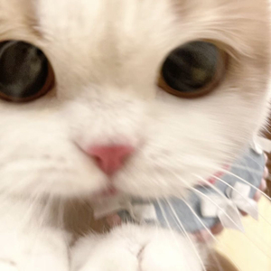 当遇见你（cover刘宇宁）