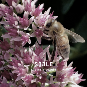 S33LE