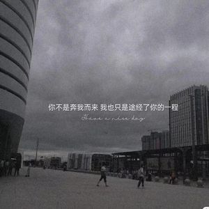 每个眼神都只身荒野