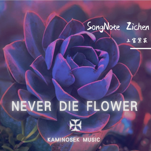 Never Die Flower OST Ver0~爆裂“魔法”