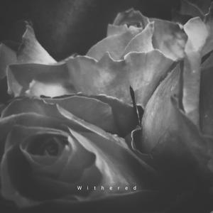 Withered