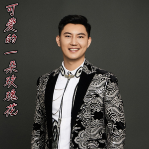 阿木提-可爱的一朵玫瑰花（努尔艾力-热瓦普 remix）