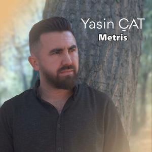Metris