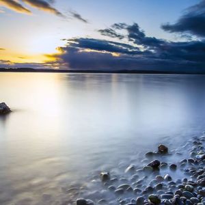 空谷仓里的蟋蟀合唱团