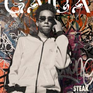 Gaidi (feat. Mr.Tee)