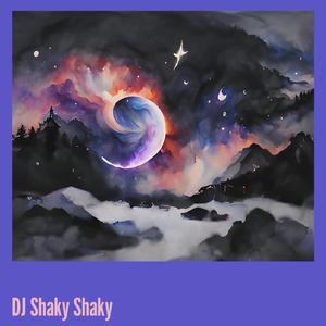 Dj Shaky Shaky (Remix)