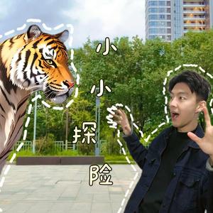 小小探险