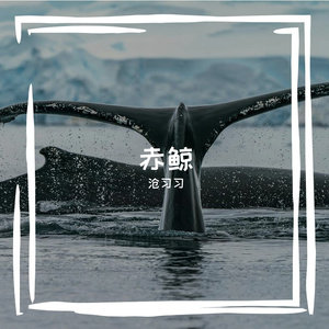 赤鲸