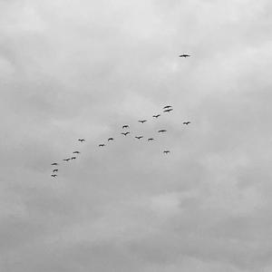 声音碎片乐队-送流水（Private remix）