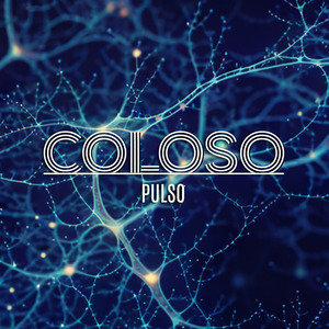 Pulso