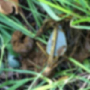 Song For Karen (Feat) Kam Houff