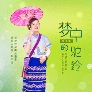 梦中的驼铃(remix)