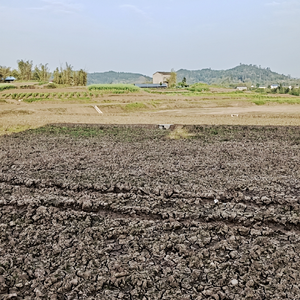 异地（Prod.Siren & WUJIE & EVO MUSIC）