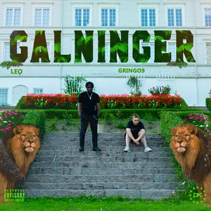 Galninger (feat. Gringo9)