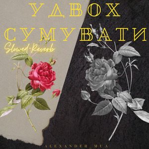 Удвох сумувати (Slowed+Reverb)