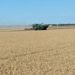 Promise Of A Lifetime