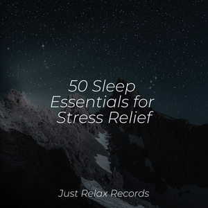 Feathered Sunset Symphony