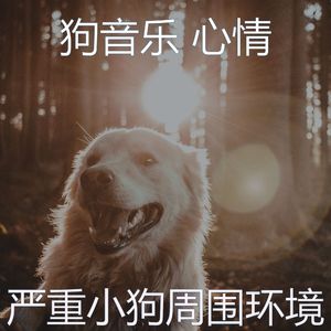 温和幼犬梦想