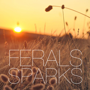 World at Large (Modest Mouse Cover)