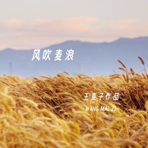 风吹麦浪 伴奏