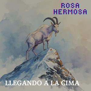 LLegando a la cima