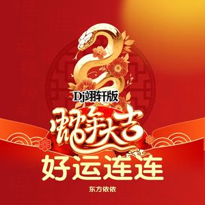 蛇年大吉好运连连 (DJ版)