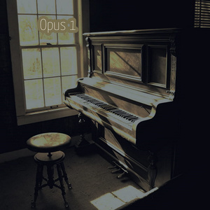 Garnet Night Duet - K.28, Opus 1