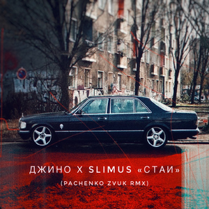 Стаи (Pachenko Zvuk Rmx)