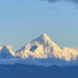 梧桐叶又落 (钢琴氛围版)