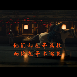 他们都在等荔枝，而你在等木棉花