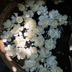 别人没有你幸福了 (破碎氛围版)