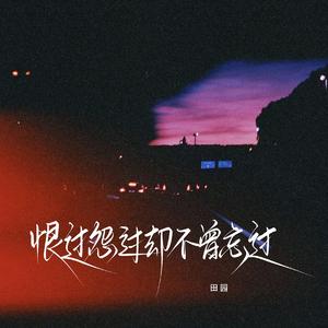 恨过怨过却不曾忘过