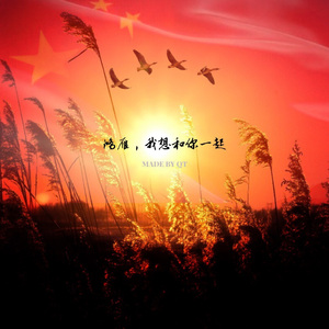 鸿雁我想和你一起——致敬白洋淀的英雄们