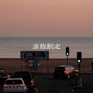 求你别走