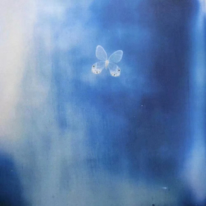 女人让我优柔寡断