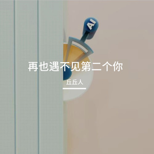 再也遇不见第二个你
