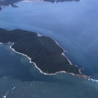 無法阻止自己落俗 但浪漫不死