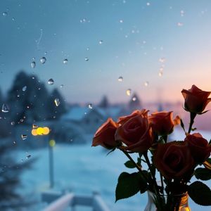 儚い夢と共に消えた愛