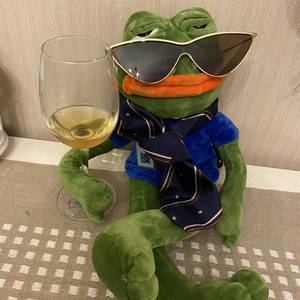 大小姐和大少爷的反派生涯