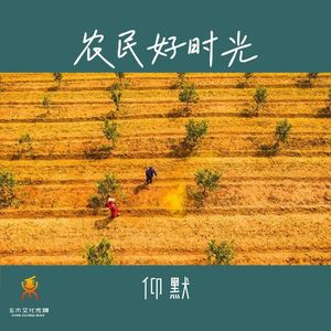 农民好时光(Dj翊轩)
