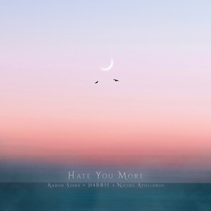 Hate You More