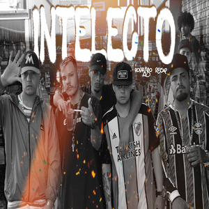 Intelecto