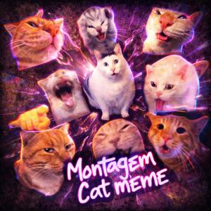 Montagem Cat meme