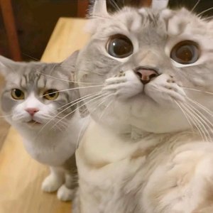 Why Would I Ever（南宁DJ阿滴 remix）（南宁DJ阿滴 remix）