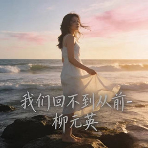 我们回不到从前 (烟嗓版)