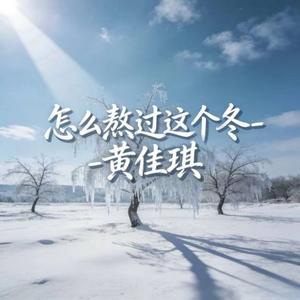 怎么熬过这个冬 (DJ涵涵版)